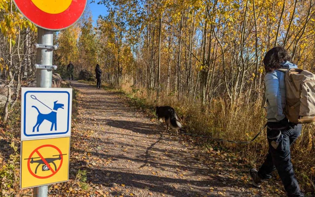 rando avec un chien laisse